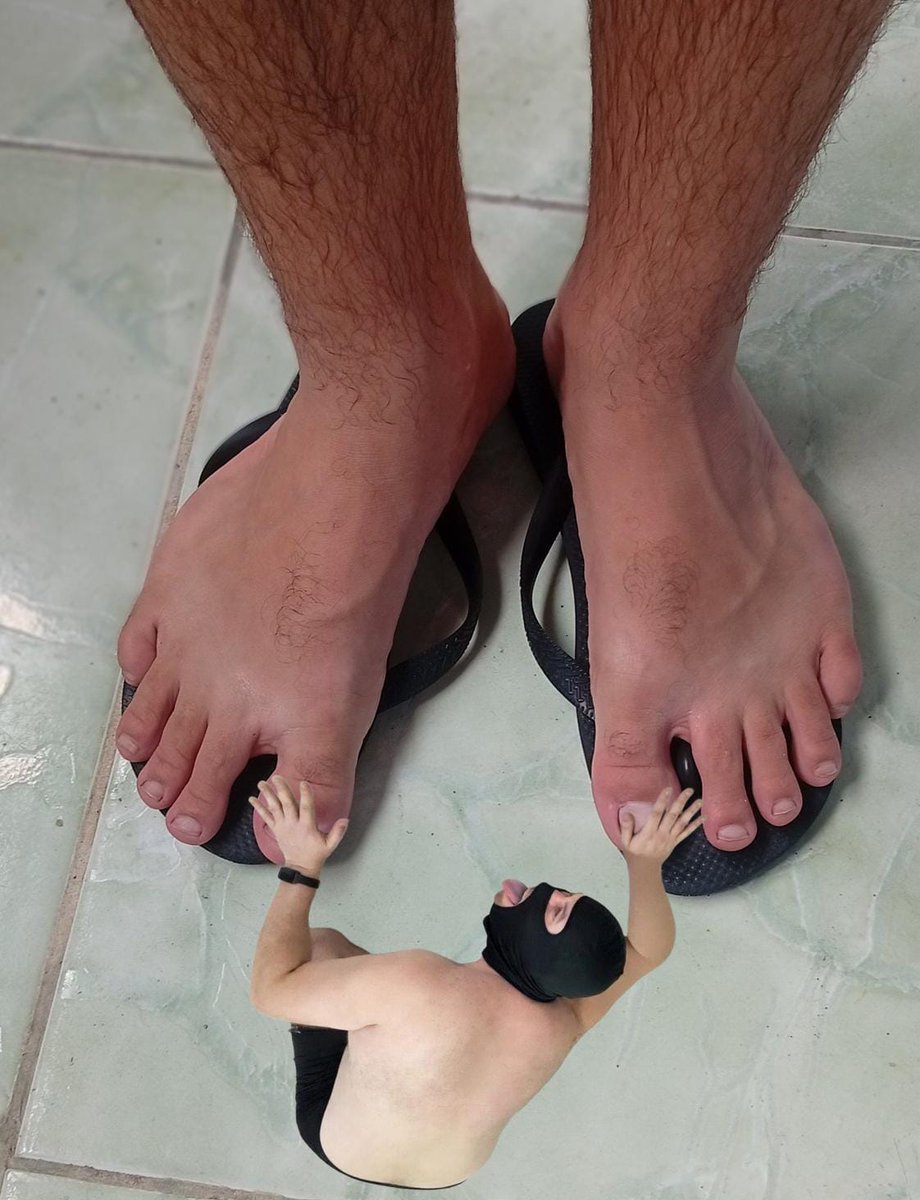 Master Otávio tweet media