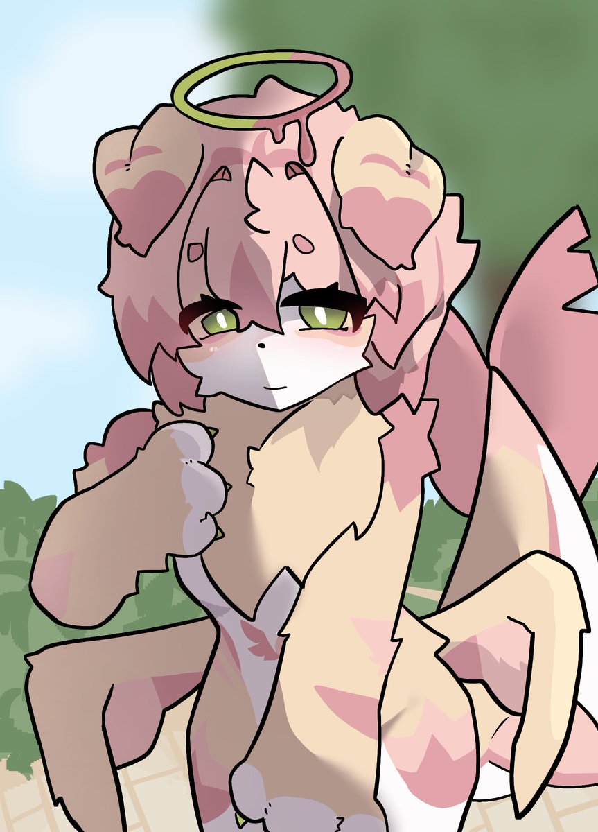 R_CAT | 도냥 tweet media