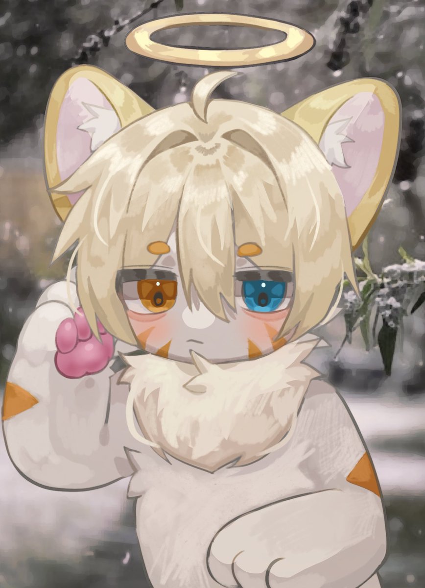 R_CAT | 도냥 tweet media