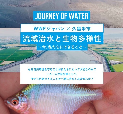 WWFジャパン tweet media