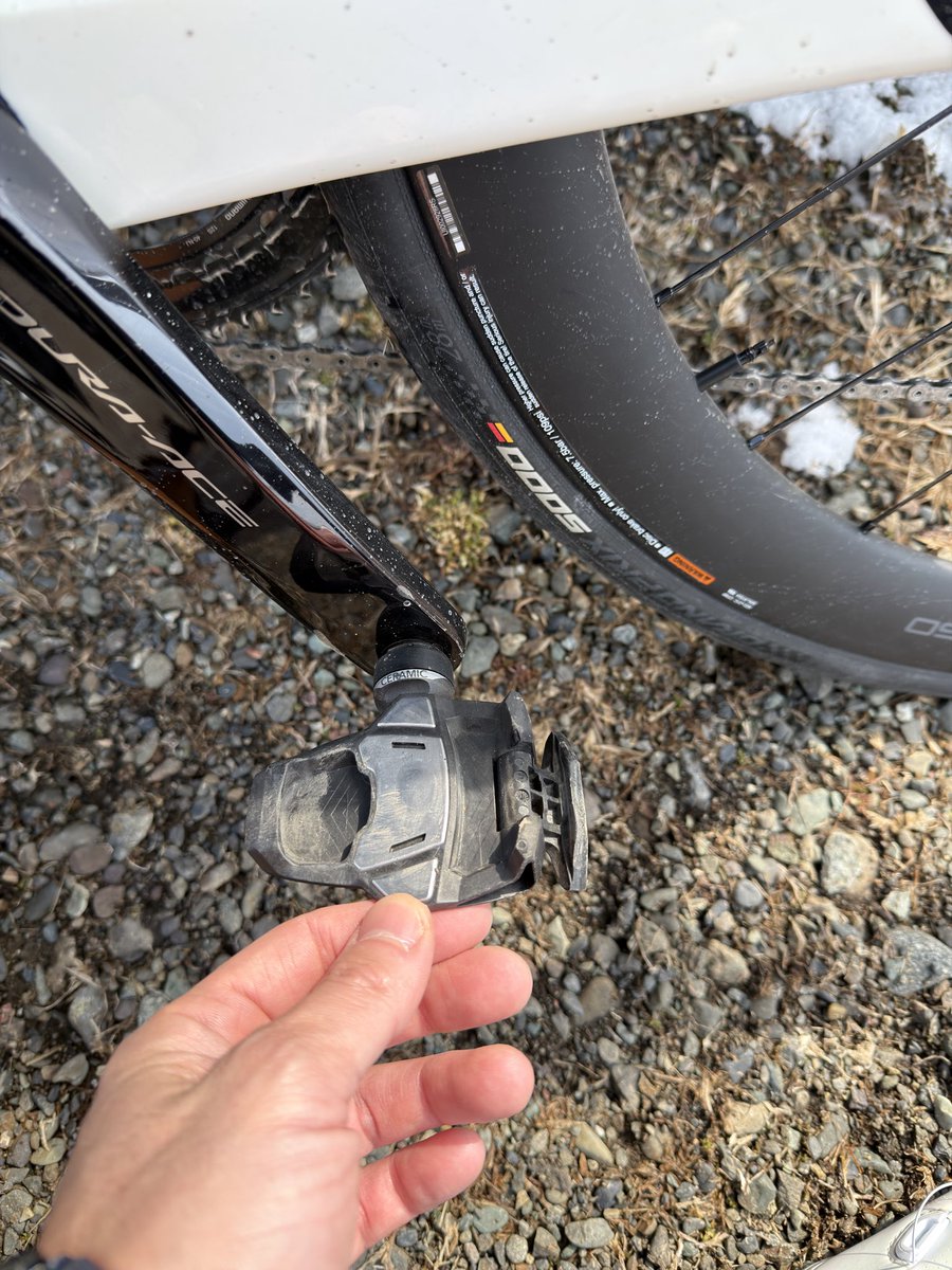 NOAH.com tweet media