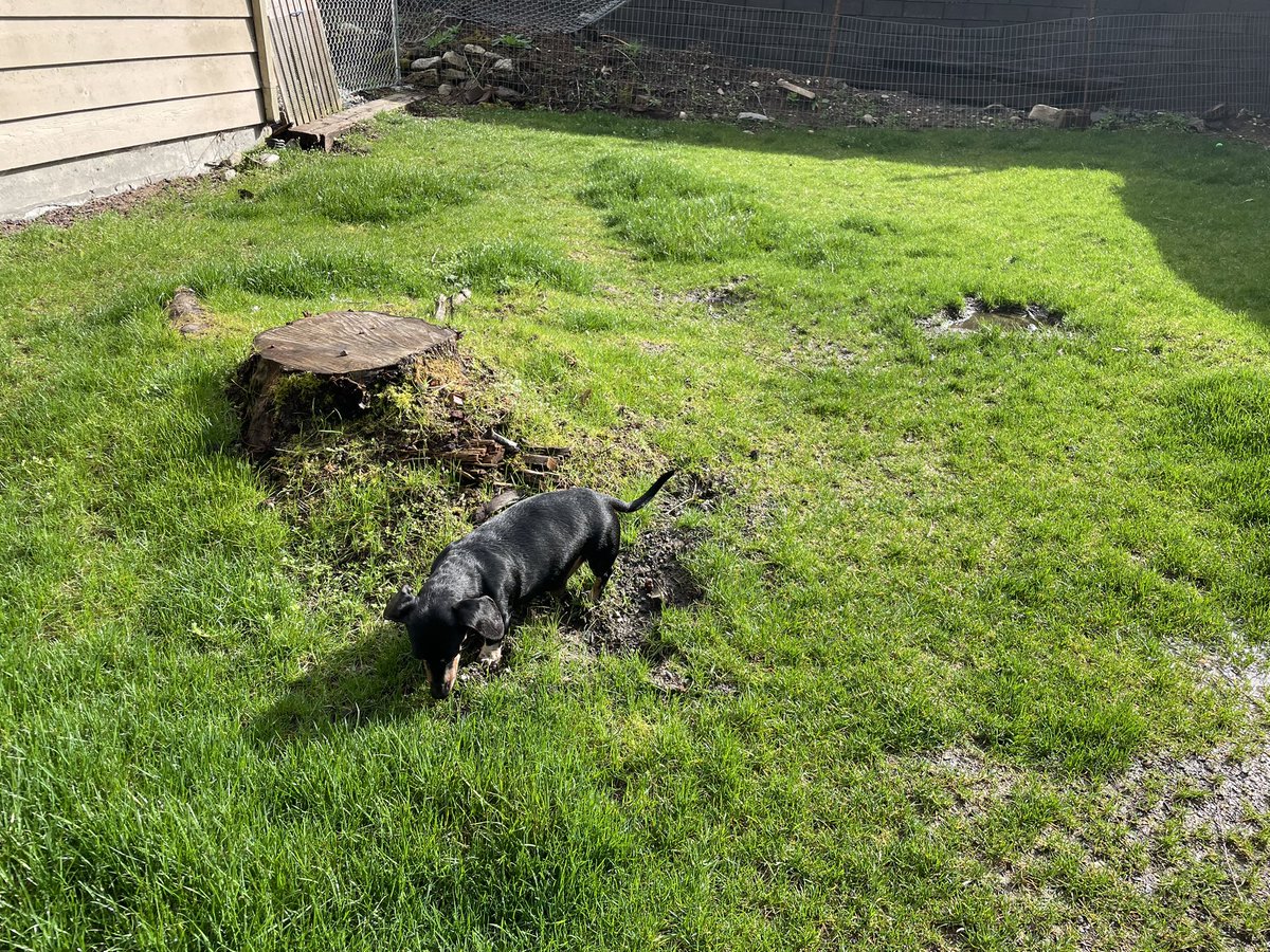 Karls (legally baby) tweet media