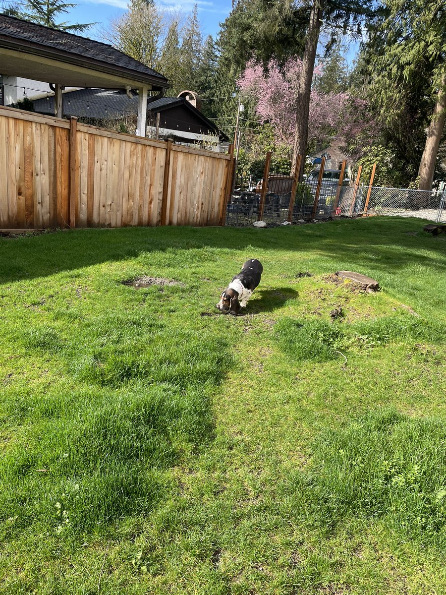 Karls (legally baby) tweet media