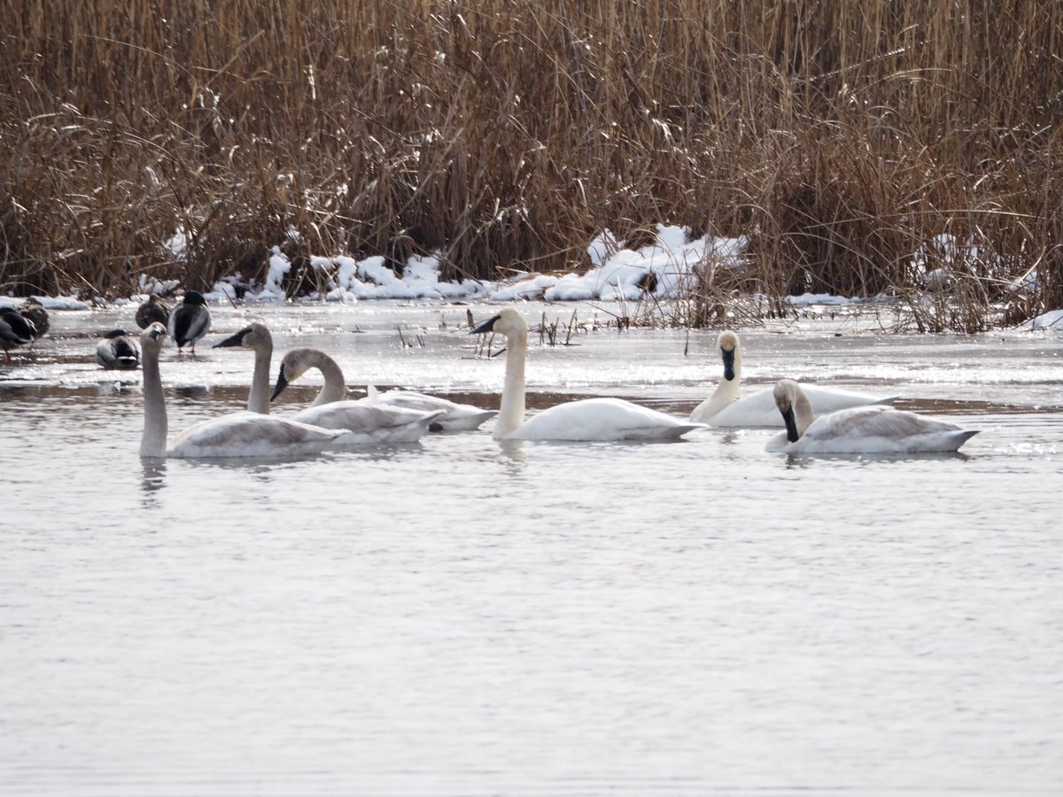 mostlytired tweet media