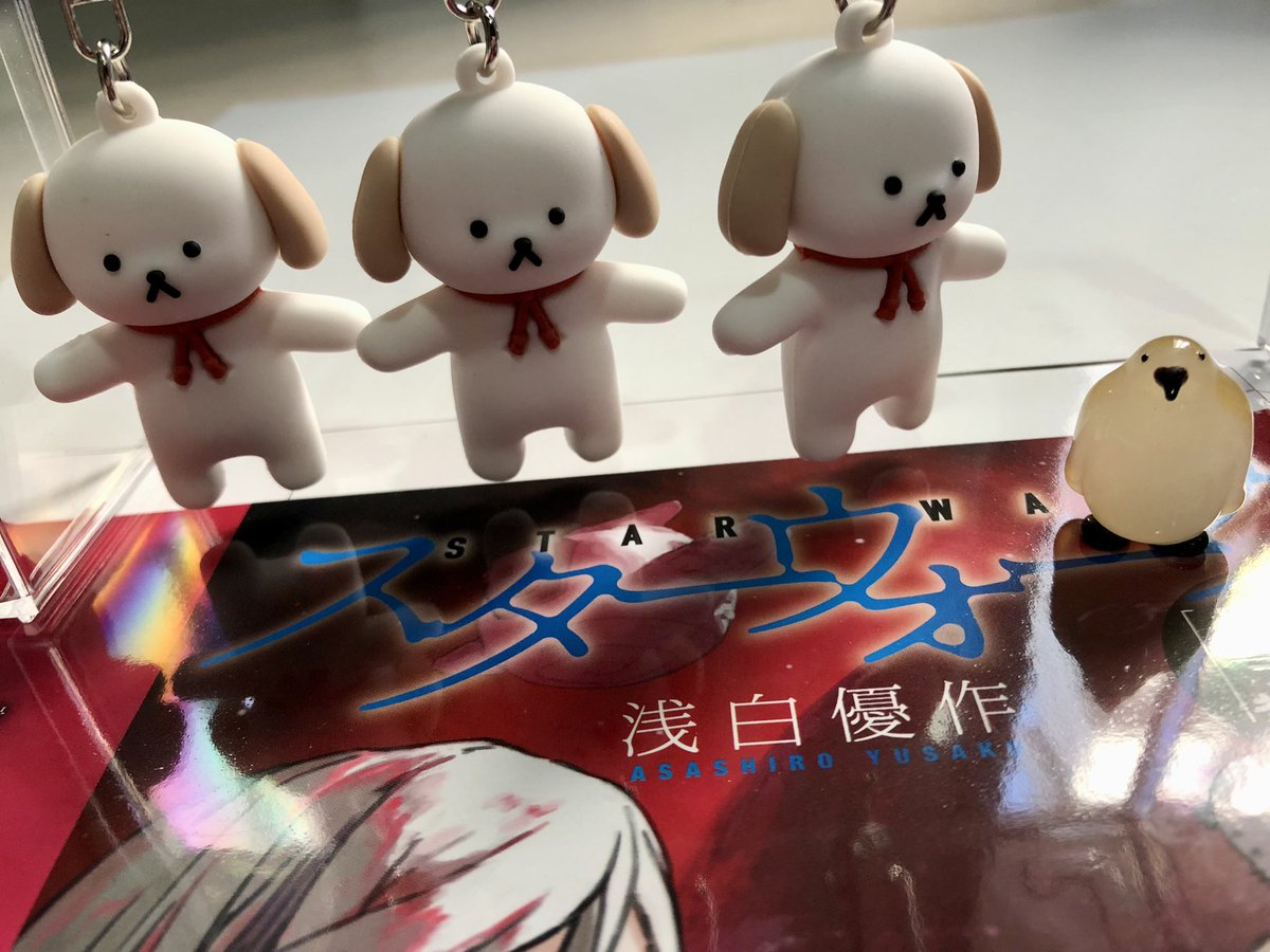 浅白優作 tweet media