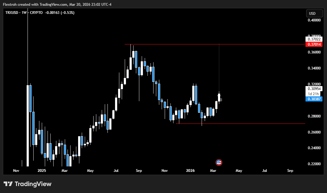 ƒℓєχ tweet media