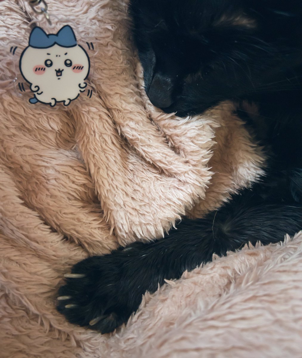 ✦THE BEΛƧT OF ƧPΛᑕE✦ tweet media