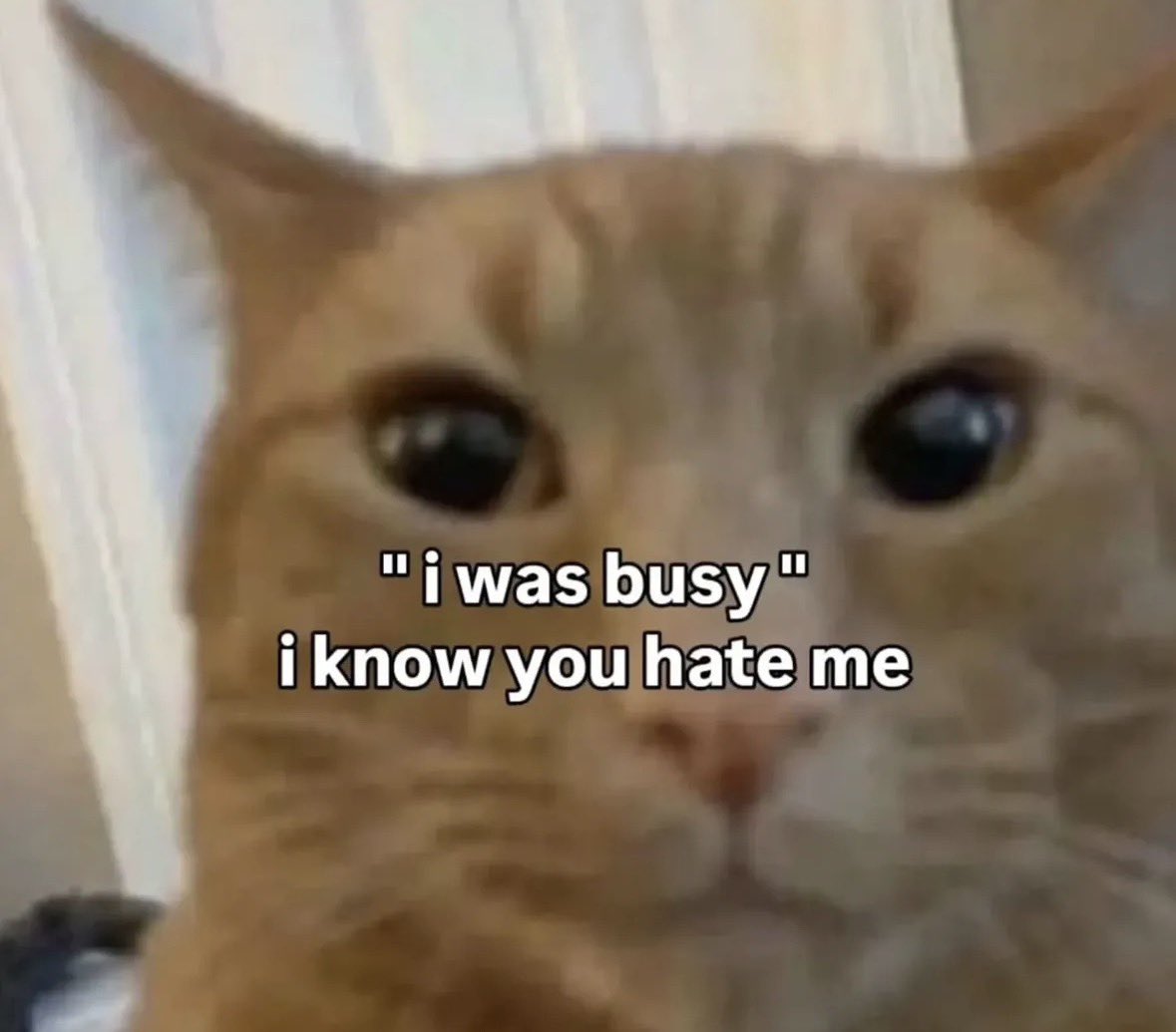 LiterallyMeCats tweet media