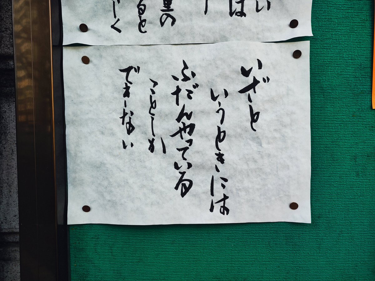 橋本 新義 tweet media