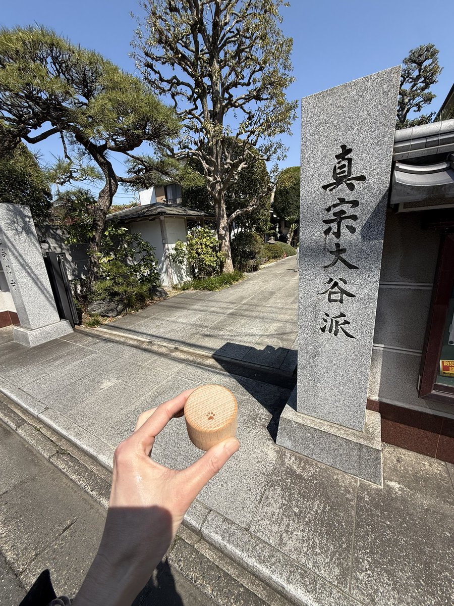 今年は小さな大和連れてお墓参り