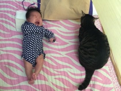 옹달쌤🎗 tweet media