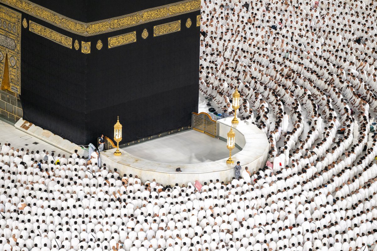 توفيق الربيعة tweet media