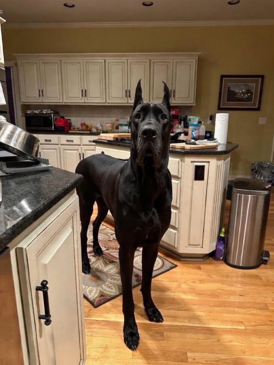 Honey 🛼 tweet media