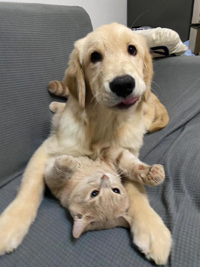 klaus hackmann tweet media