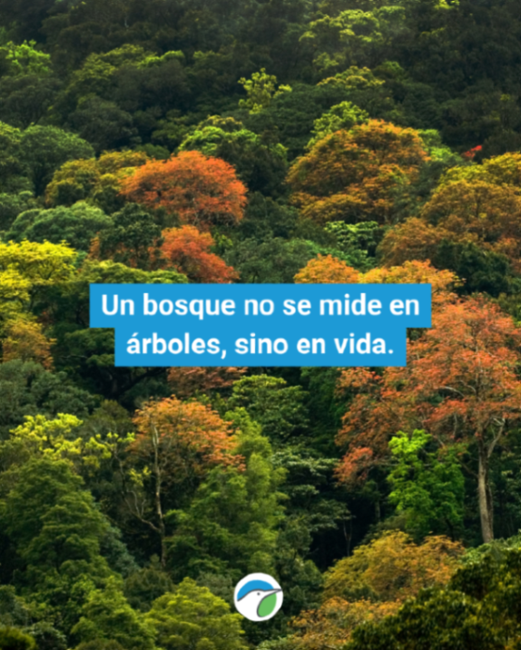 SEO/BirdLife tweet media