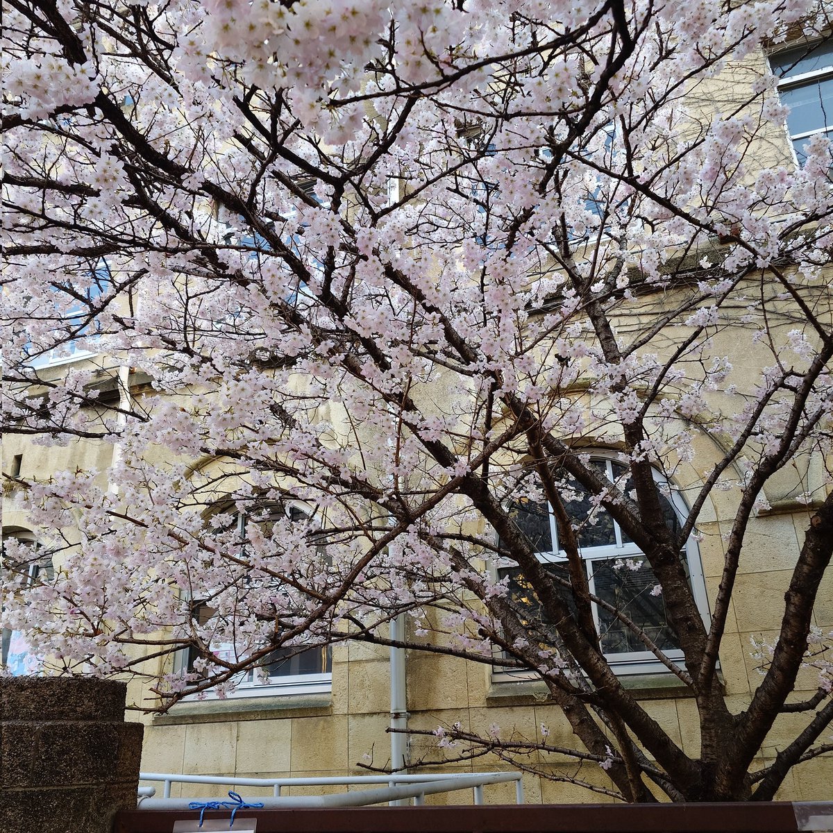 911@恵比寿の車好き税理士 tweet media