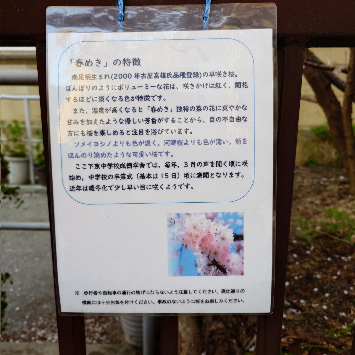 911@恵比寿の車好き税理士 tweet media