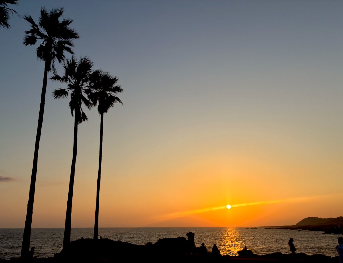 Eri ☺︎ tweet media