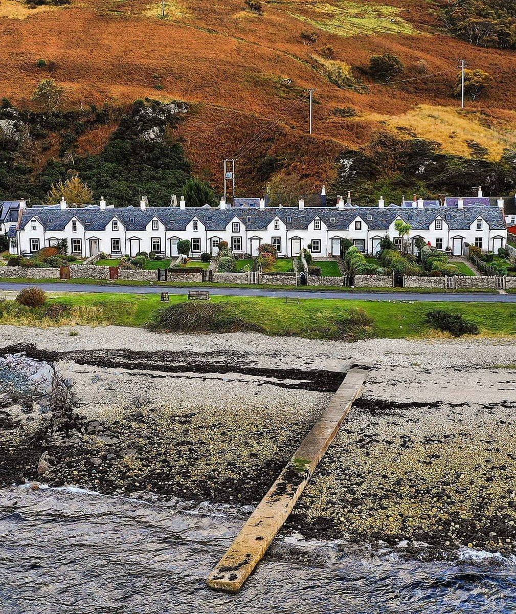 PictureThis Scotland tweet media