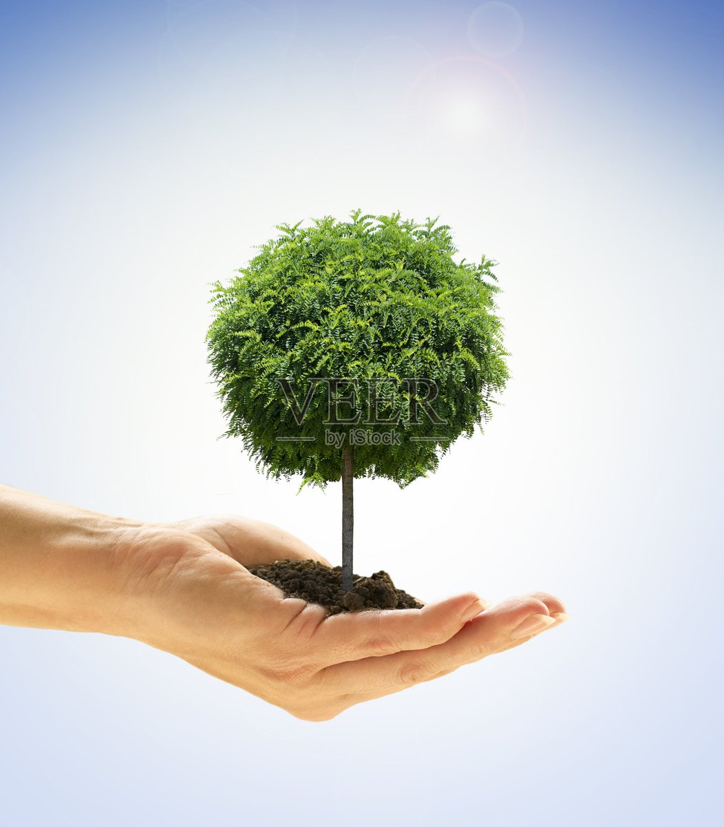 Celine Ni tweet media