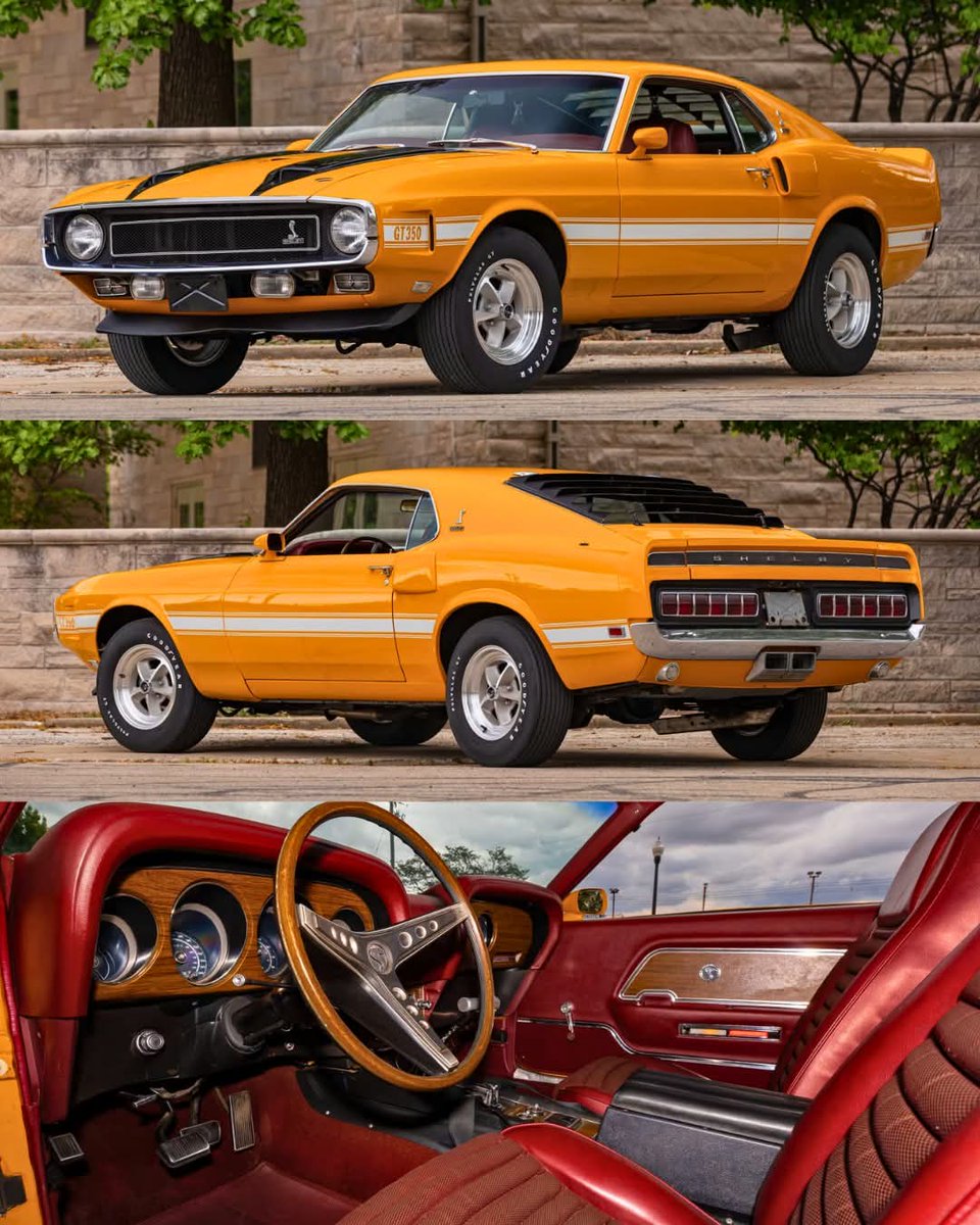 Mopar_Logic's tweet photo. Gorgeous Shelby https://t.co/EqRfpzfMEg