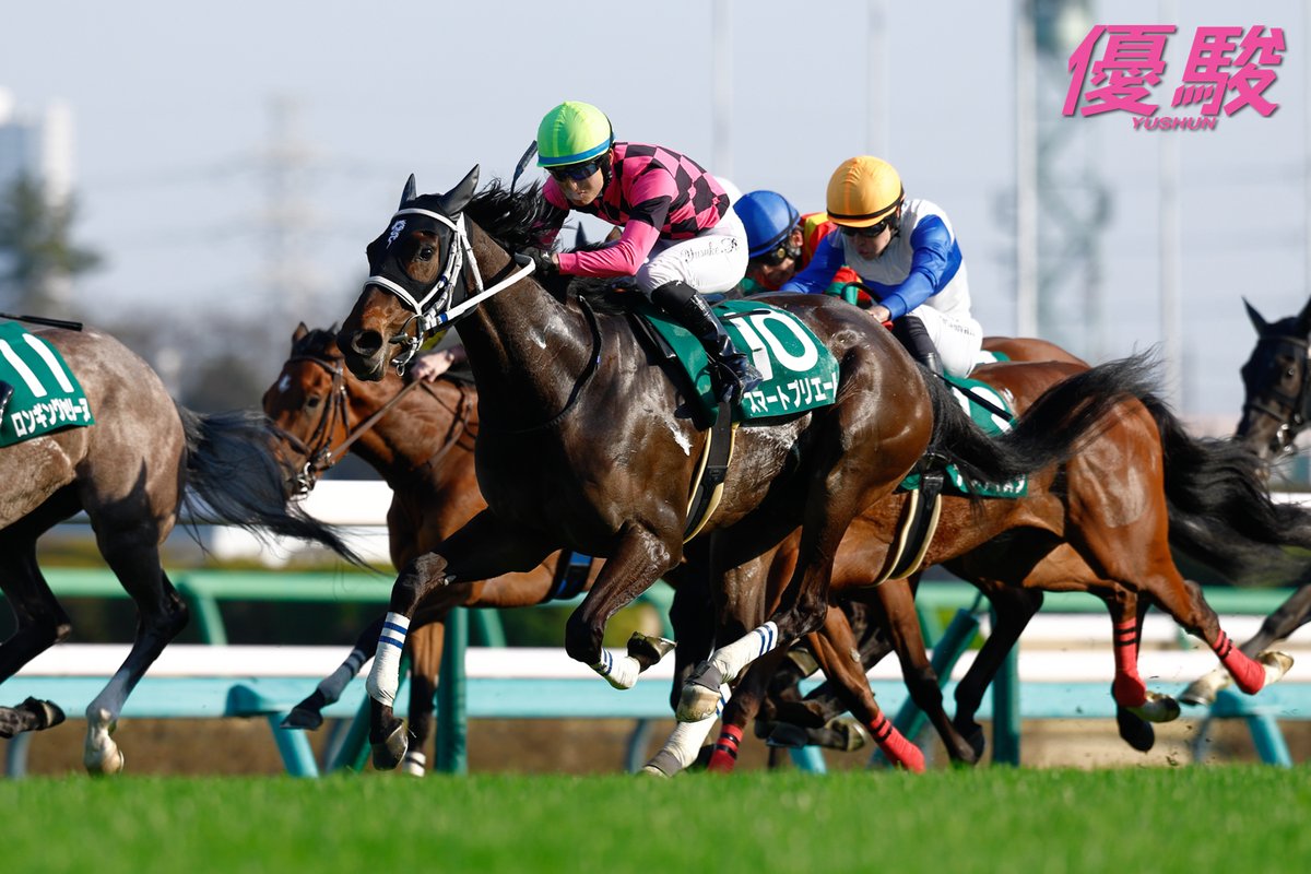 『優駿』編集部 tweet media