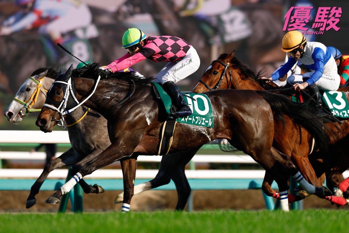 『優駿』編集部 tweet media