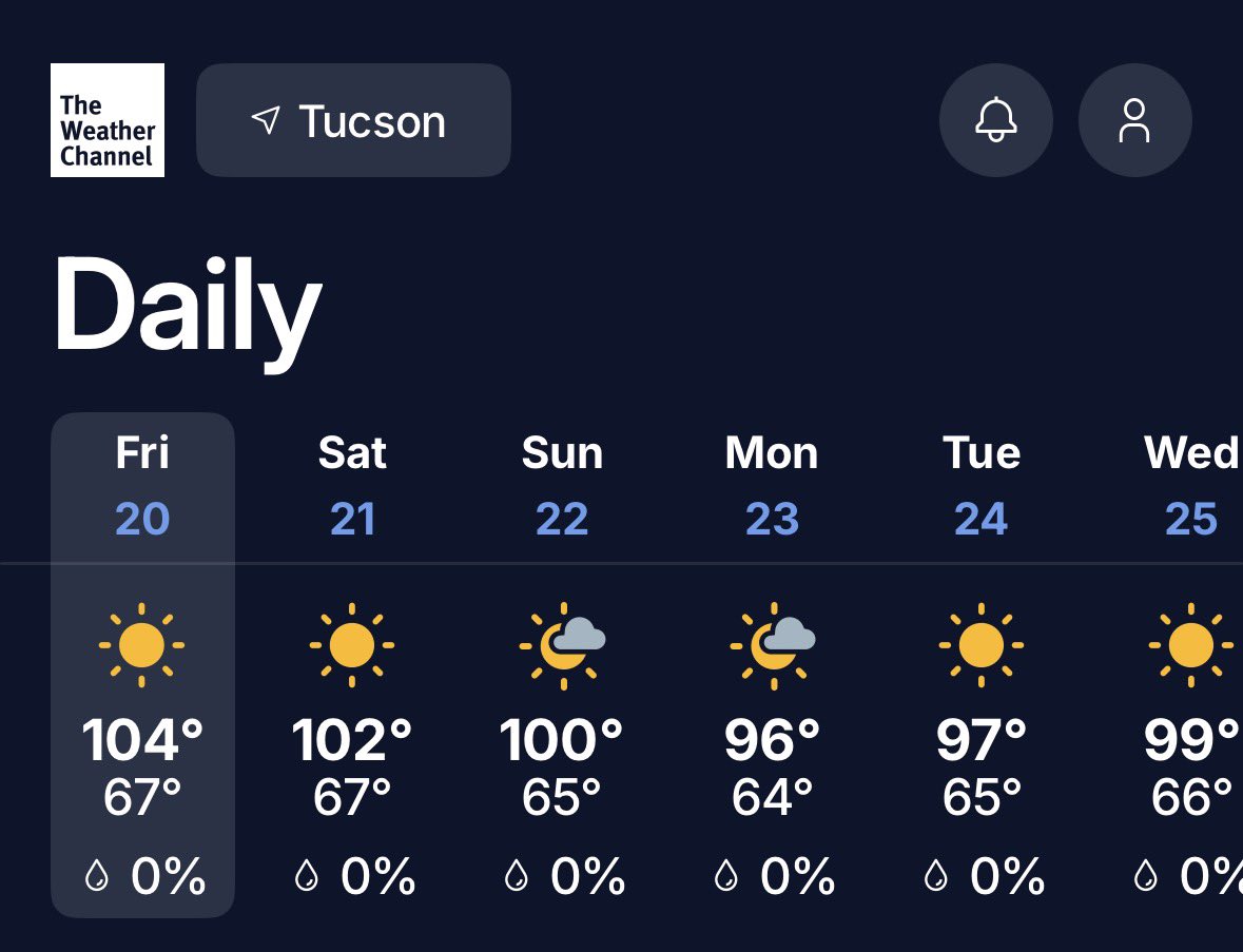 Nurse Lioness tweet media