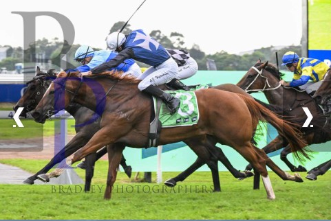 Craig Brian Peter Coyle tweet media