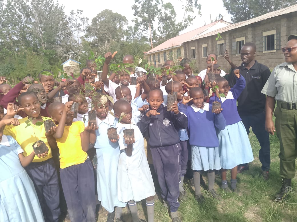 Wangari Maathai Institute tweet media