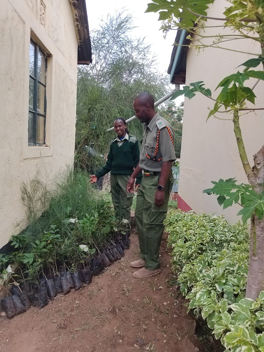 Wangari Maathai Institute tweet media