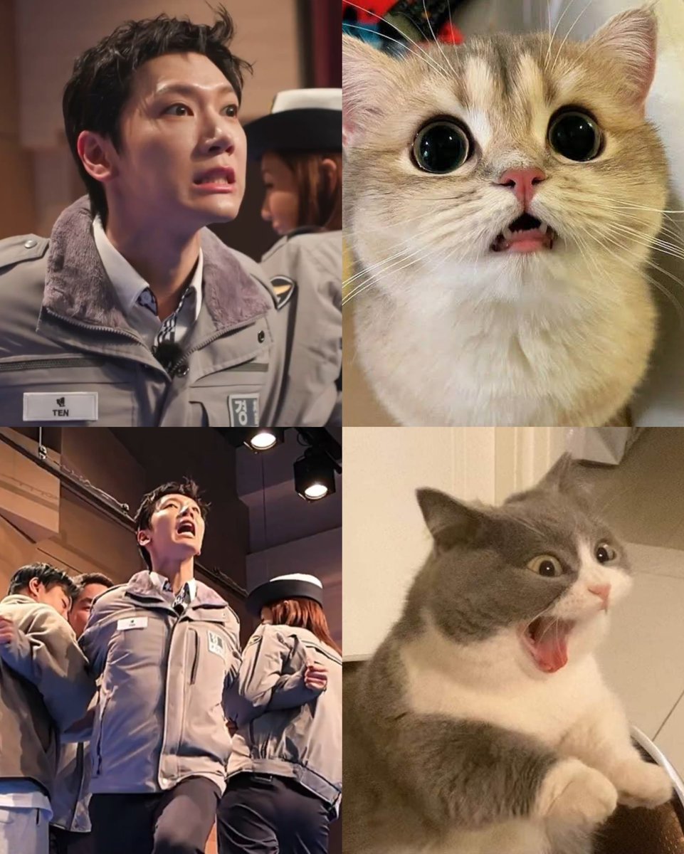 ㅁㄹㄴㅁ tweet media