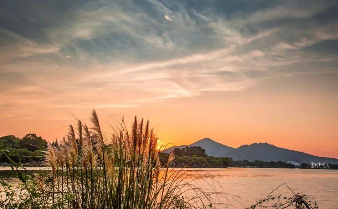 tyler Hamilton tweet media