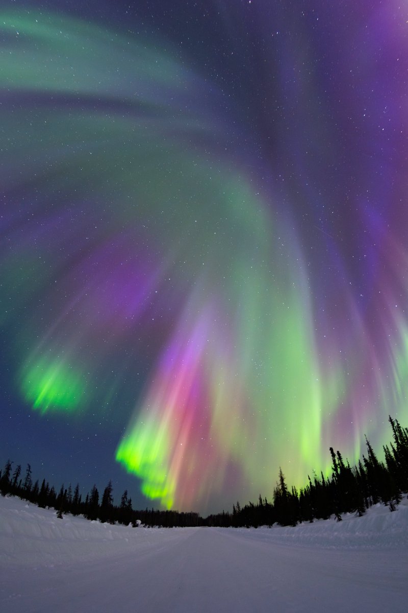 Vincent Ledvina tweet media