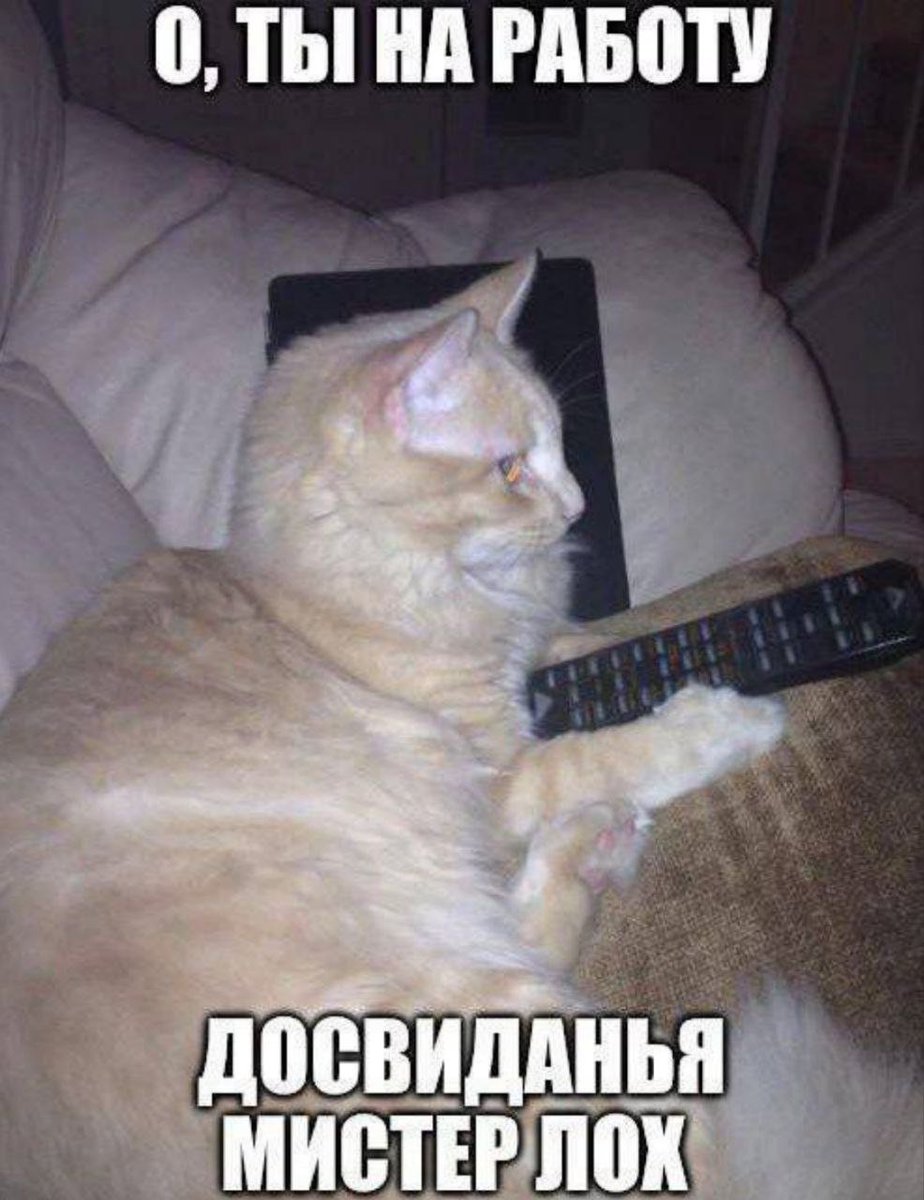 Chucky Ви tweet media