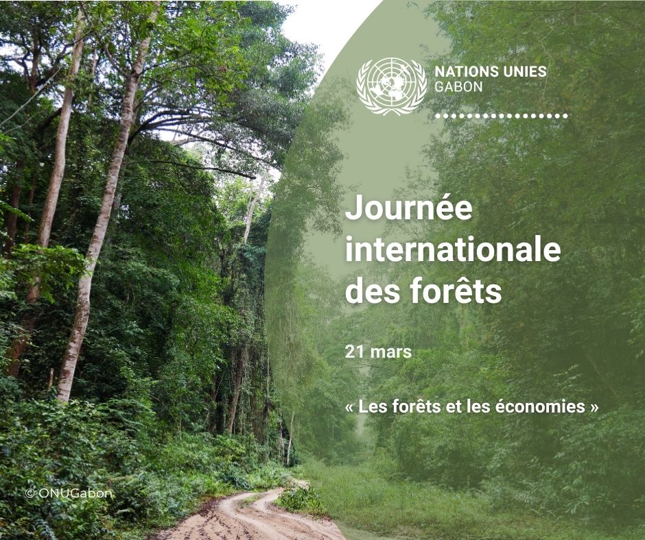 ONU Gabon tweet media