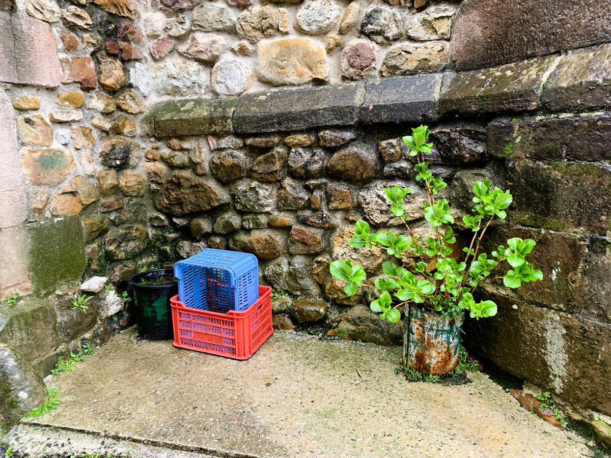 Gabriela tweet media