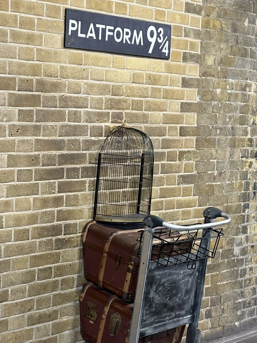 slavkoNH tweet media