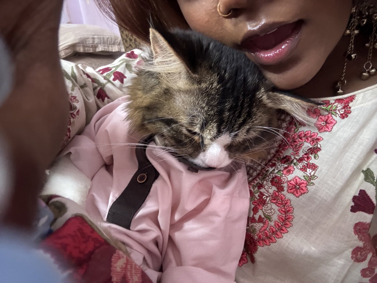 zanzanit misal pav tweet media