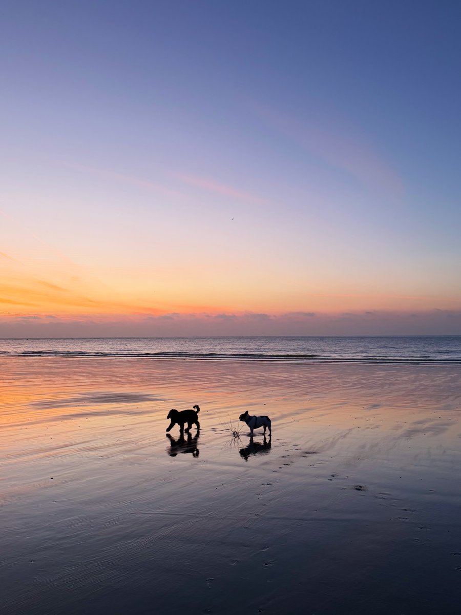 Kelly 👱🏻‍♀️🌊🔆 tweet media