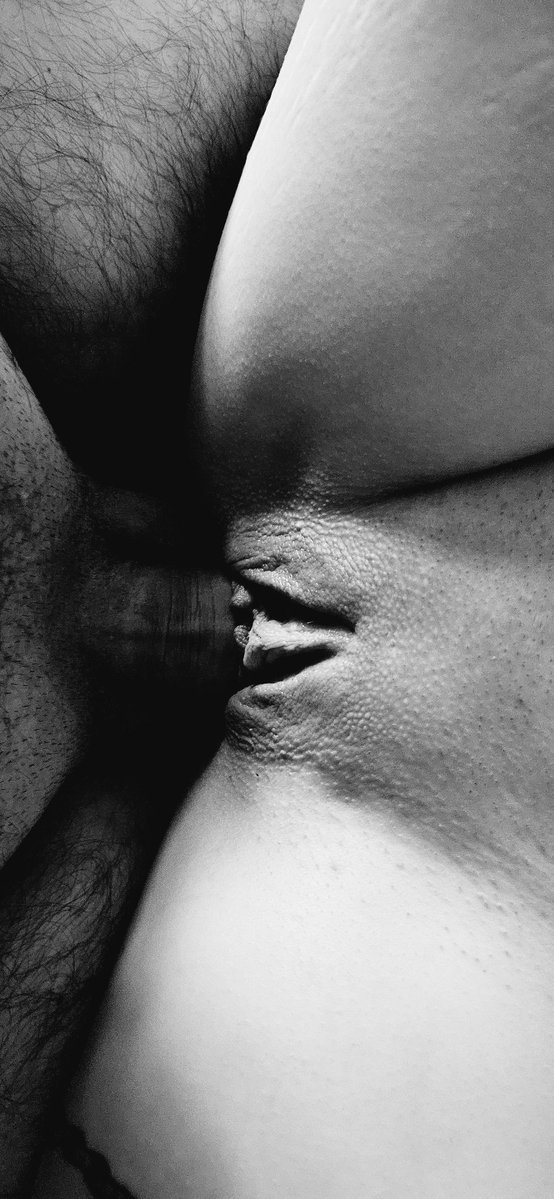 LesvikingsAmoureux tweet media