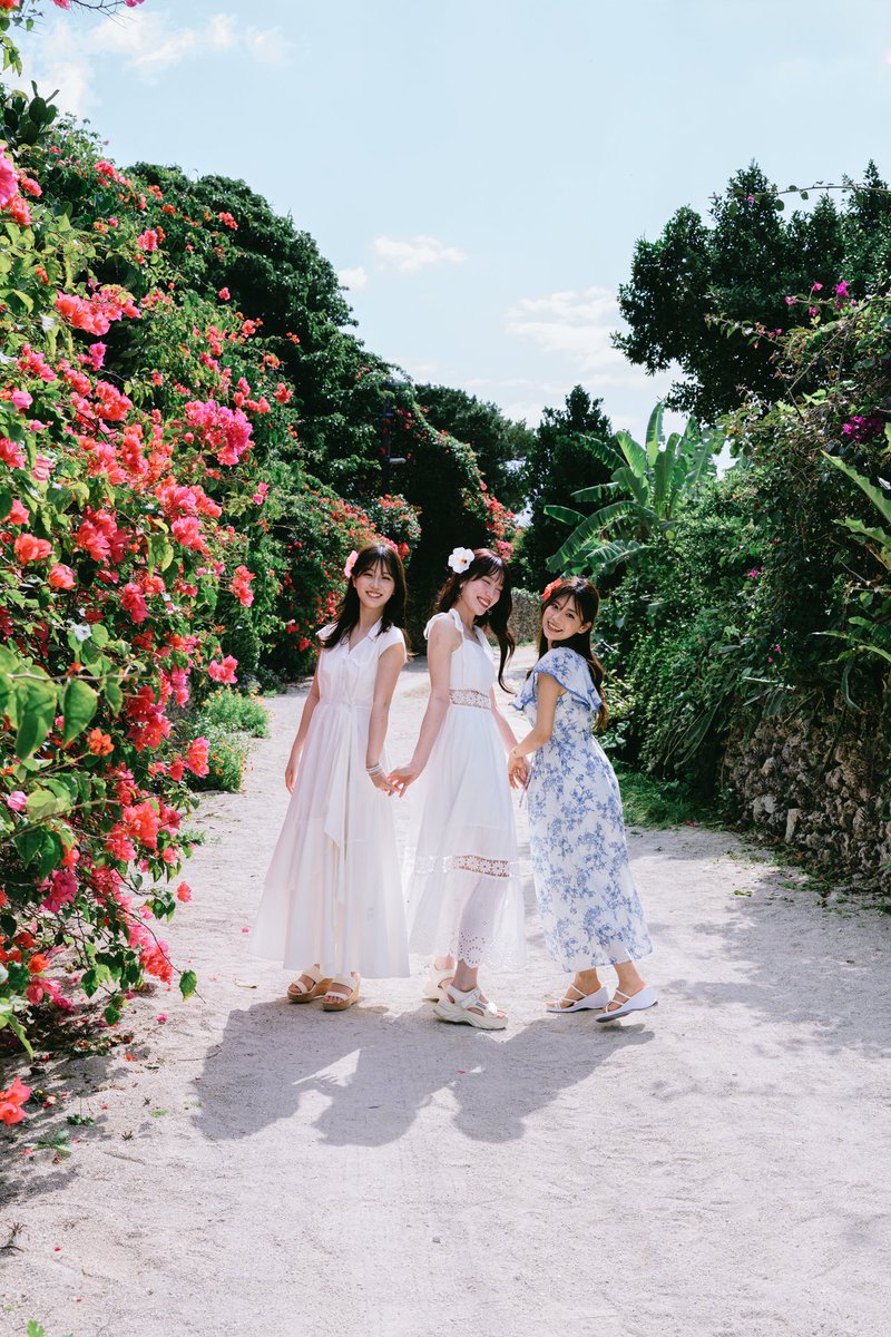 マサヒコ tweet media