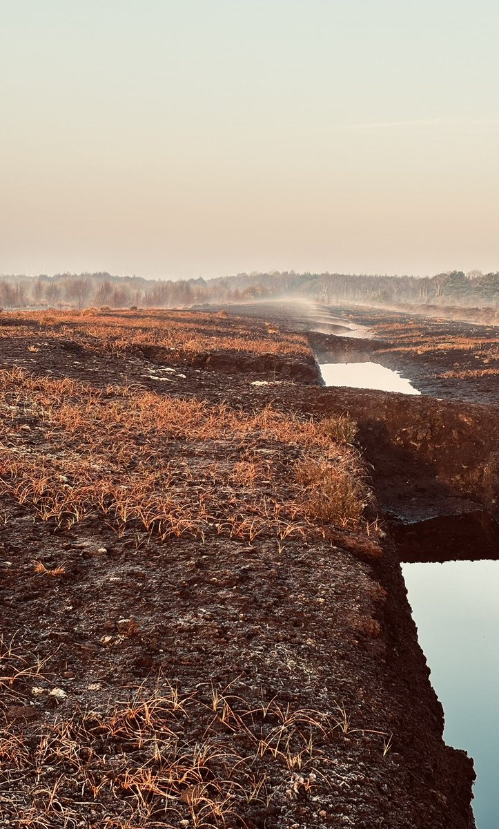 Becca Thorne tweet media