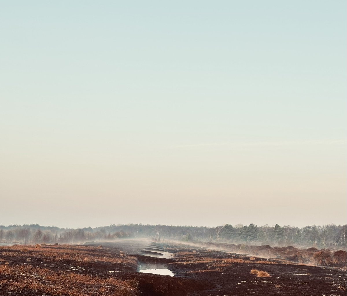 Becca Thorne tweet media