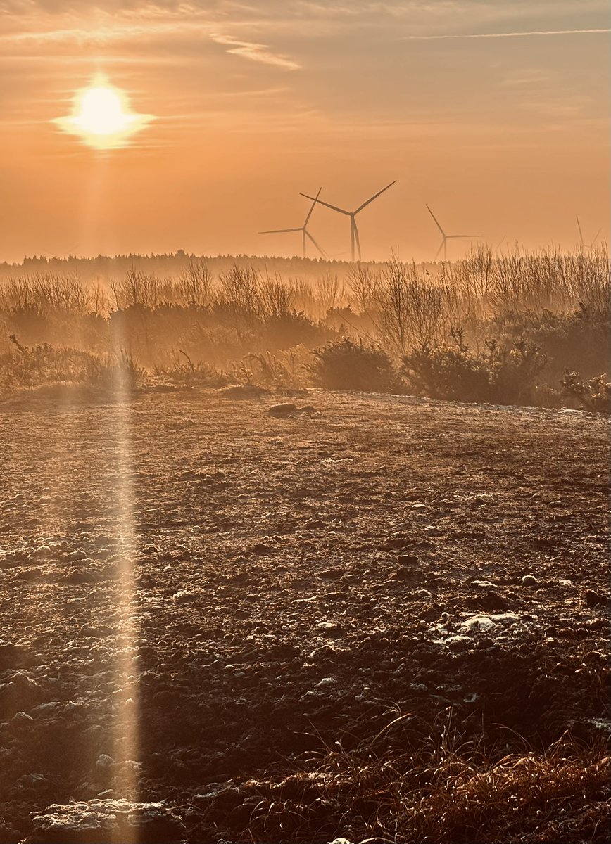 Becca Thorne tweet media