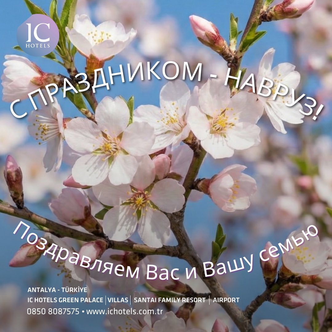 IC Hotels Life tweet media