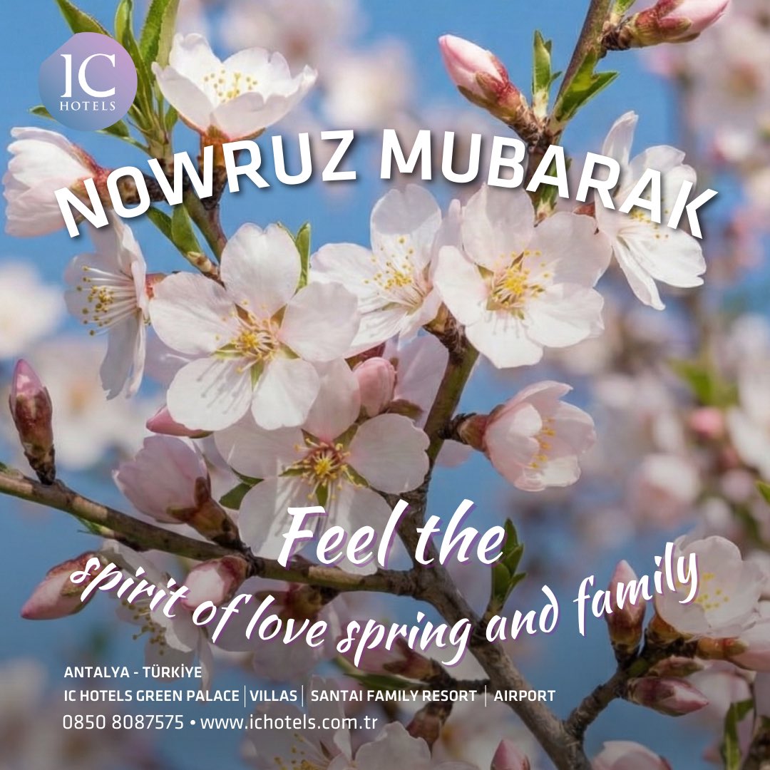 IC Hotels Life tweet media