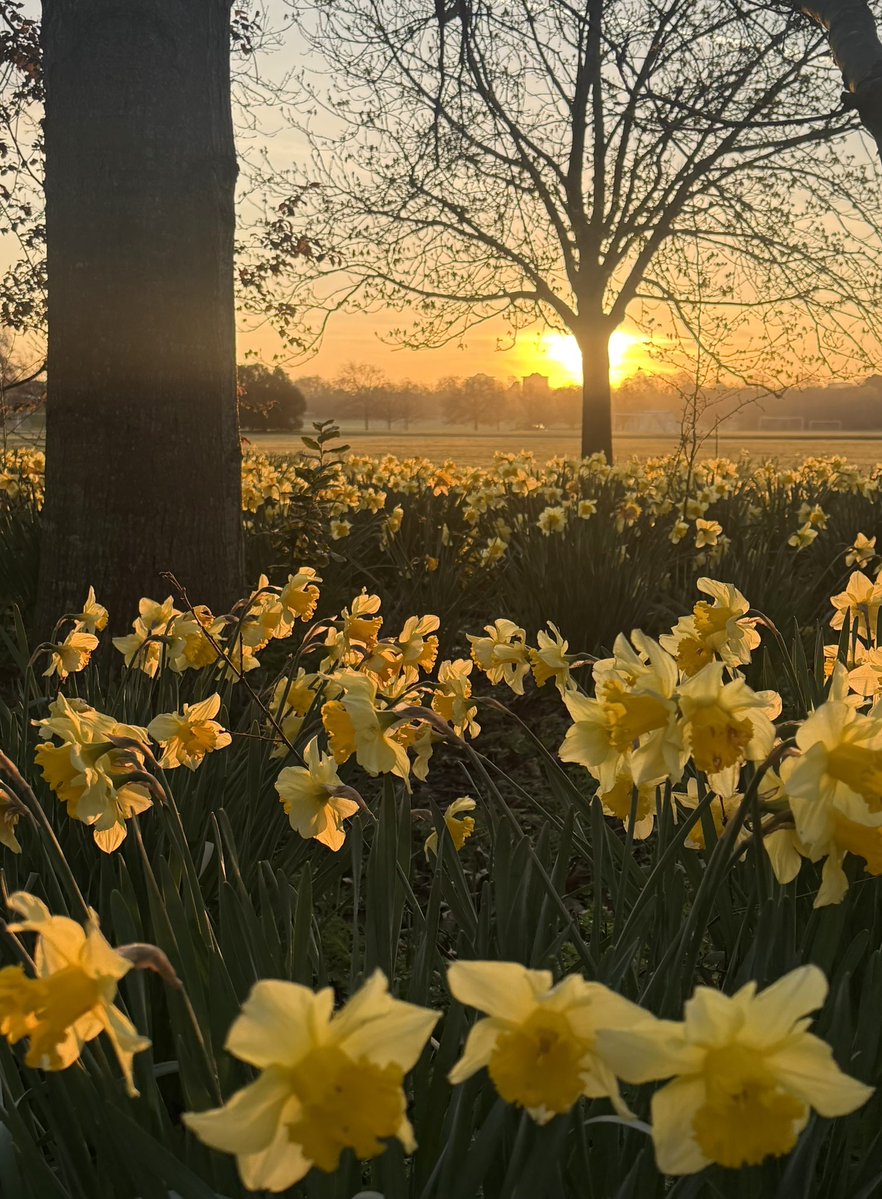 James Montgomery tweet media