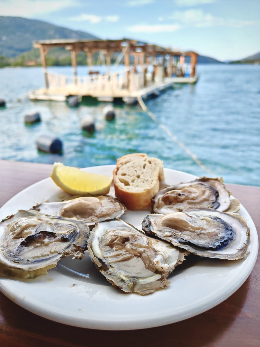 пламене (parody) tweet media