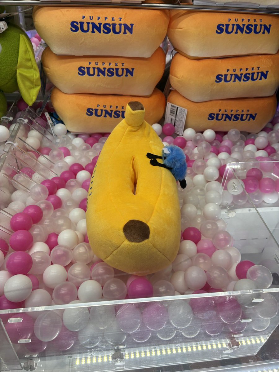 パペットスンスン最新情報 tweet media